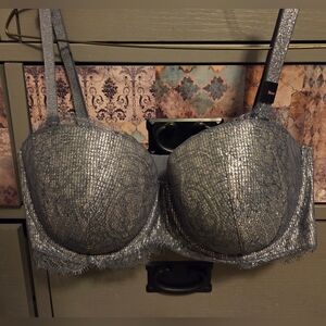 NWT Victoria's Secret Silver/Chrome Elegant Lace BRA 36DD.